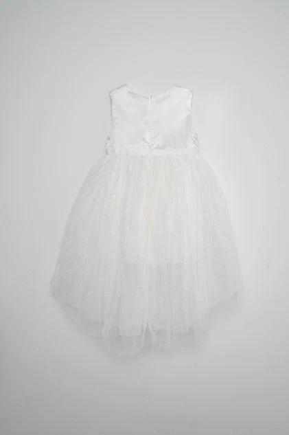 Infant Girls Sleeveless Dress with Embroidered Chest - Image 3