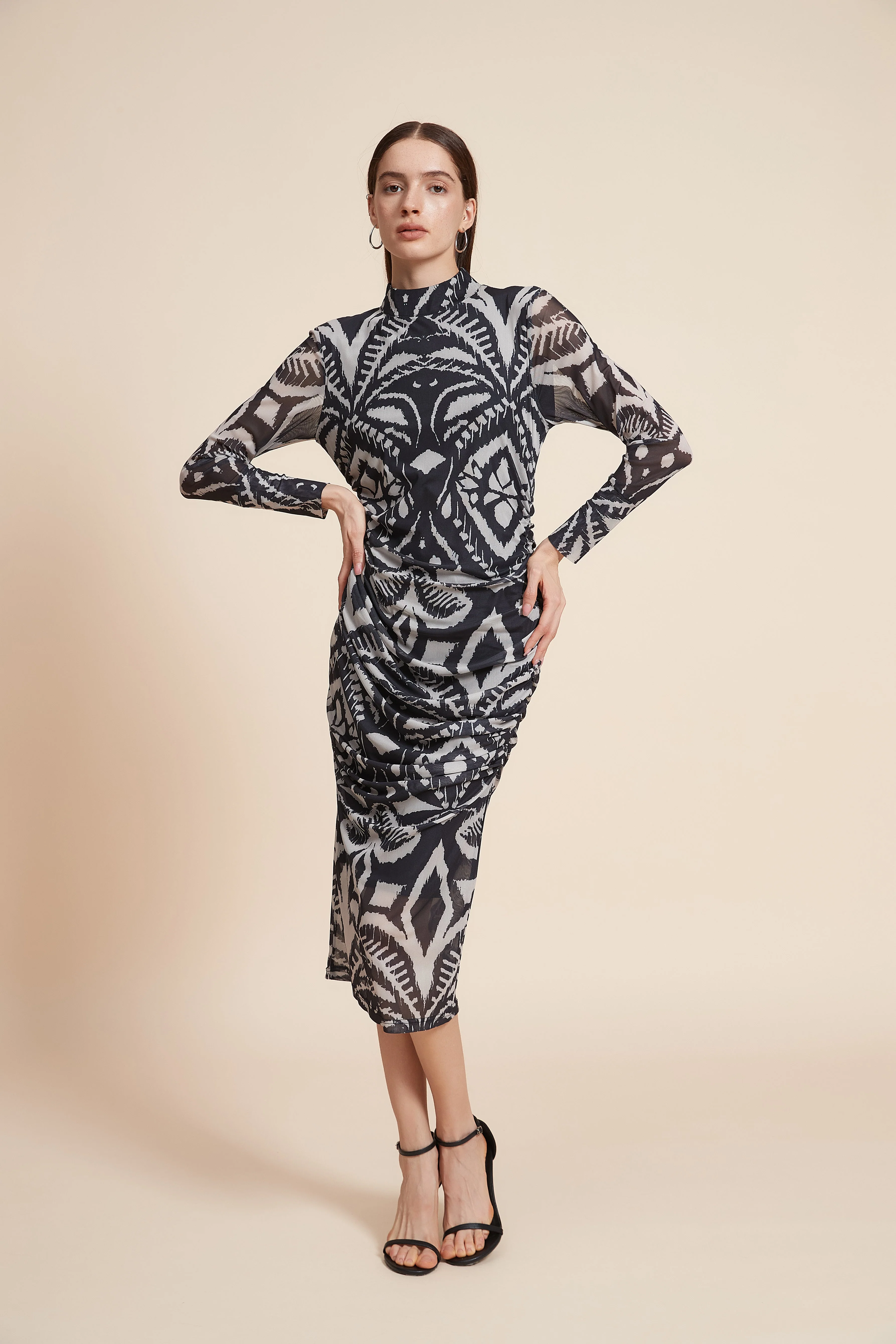 Printed Long Sleeve Midi Dress
