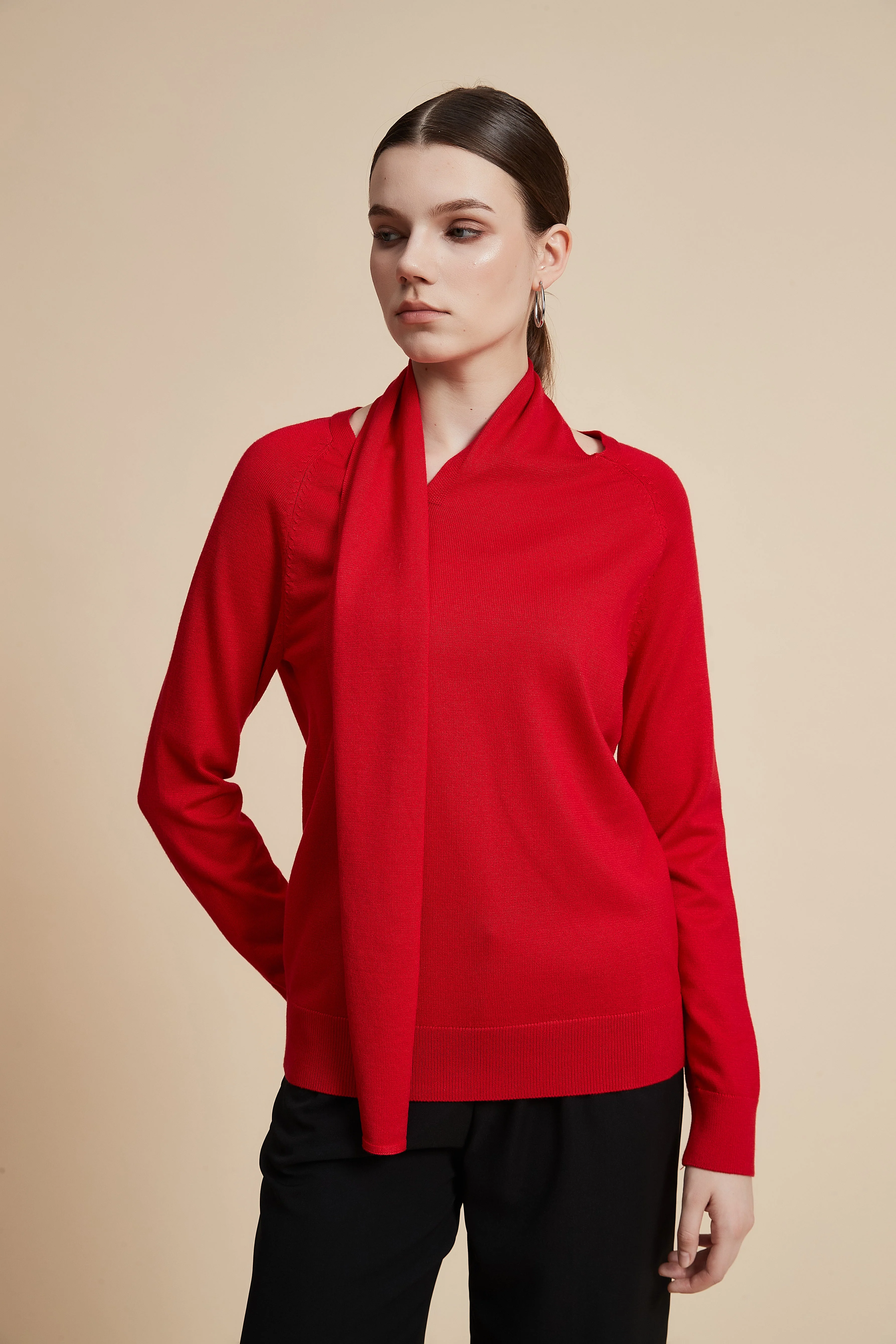 Solid Long Sleeve Cropped Sweater - Image 4