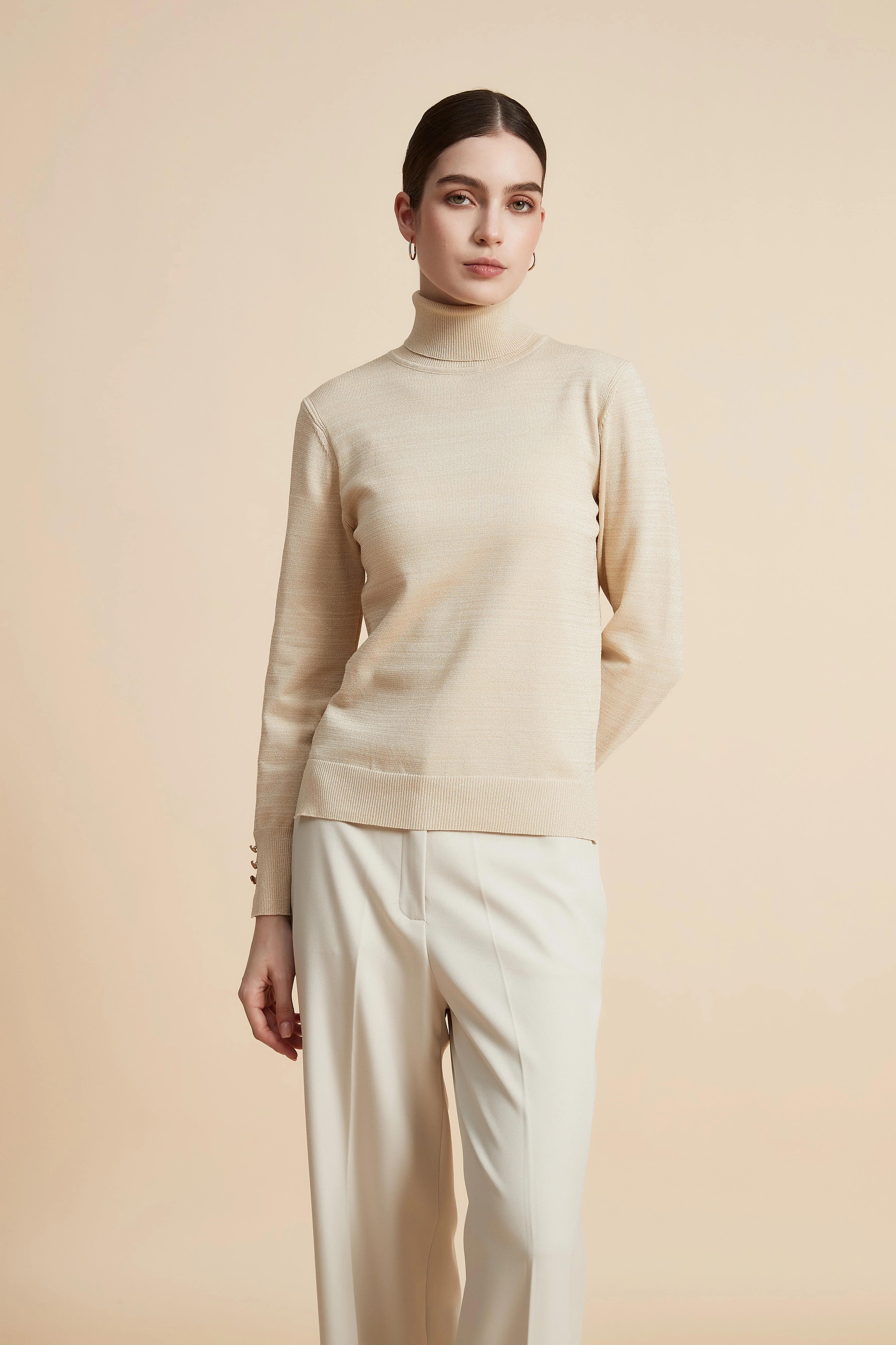 Solid Long Sleeve High Neck Sweater