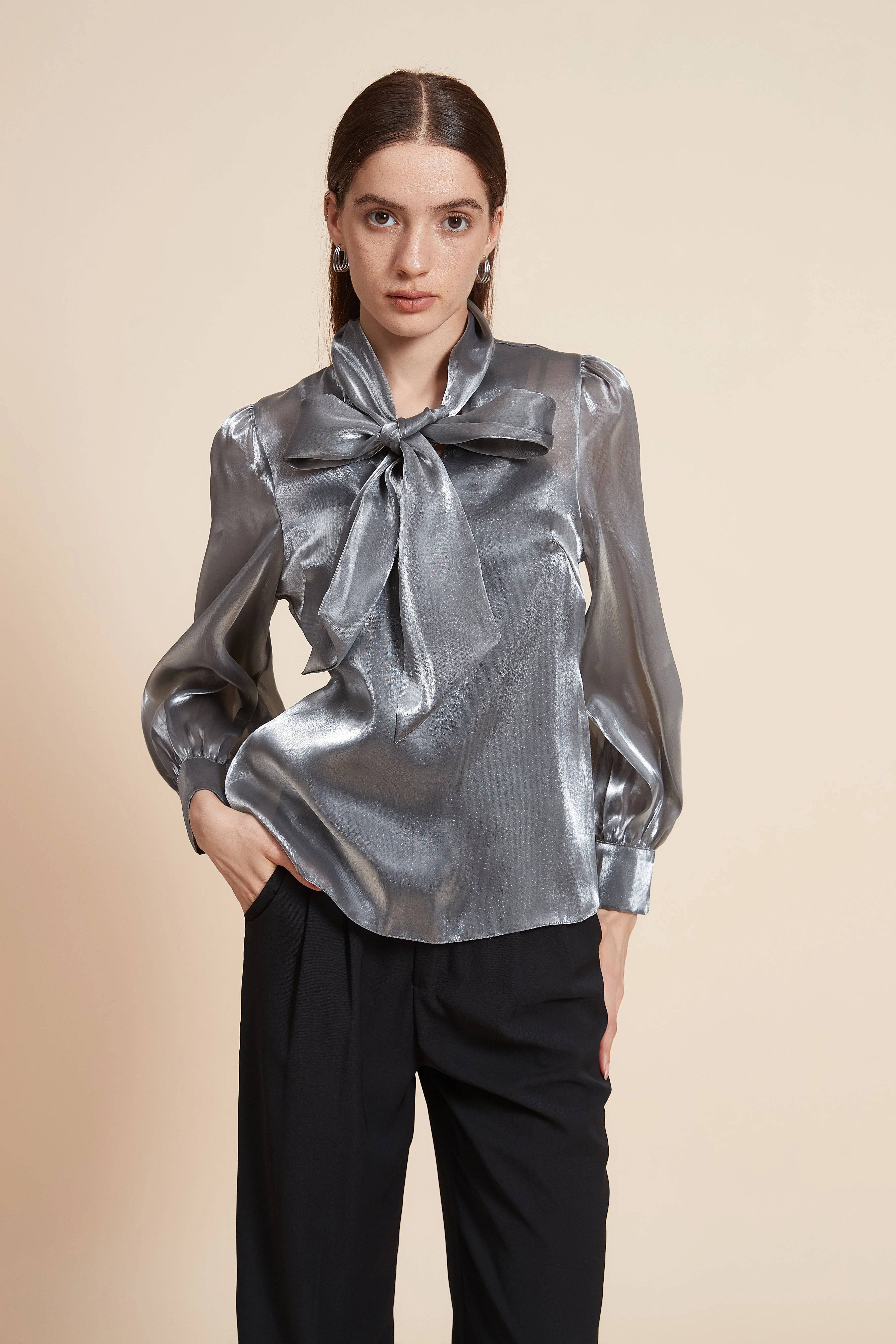 Mid-Length Long Sleeve Blouse with Tie