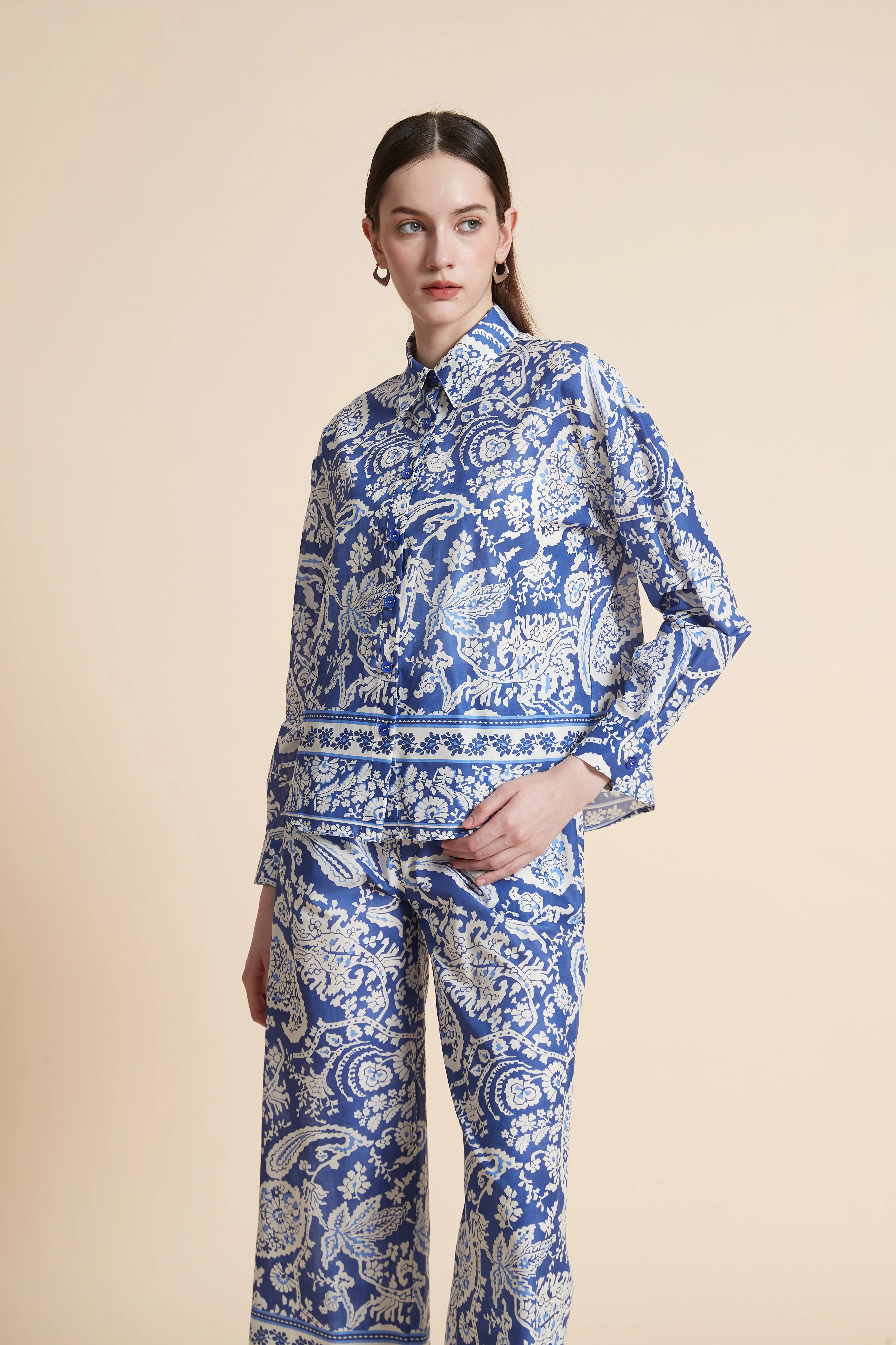 Long Sleeve Printed Blouse