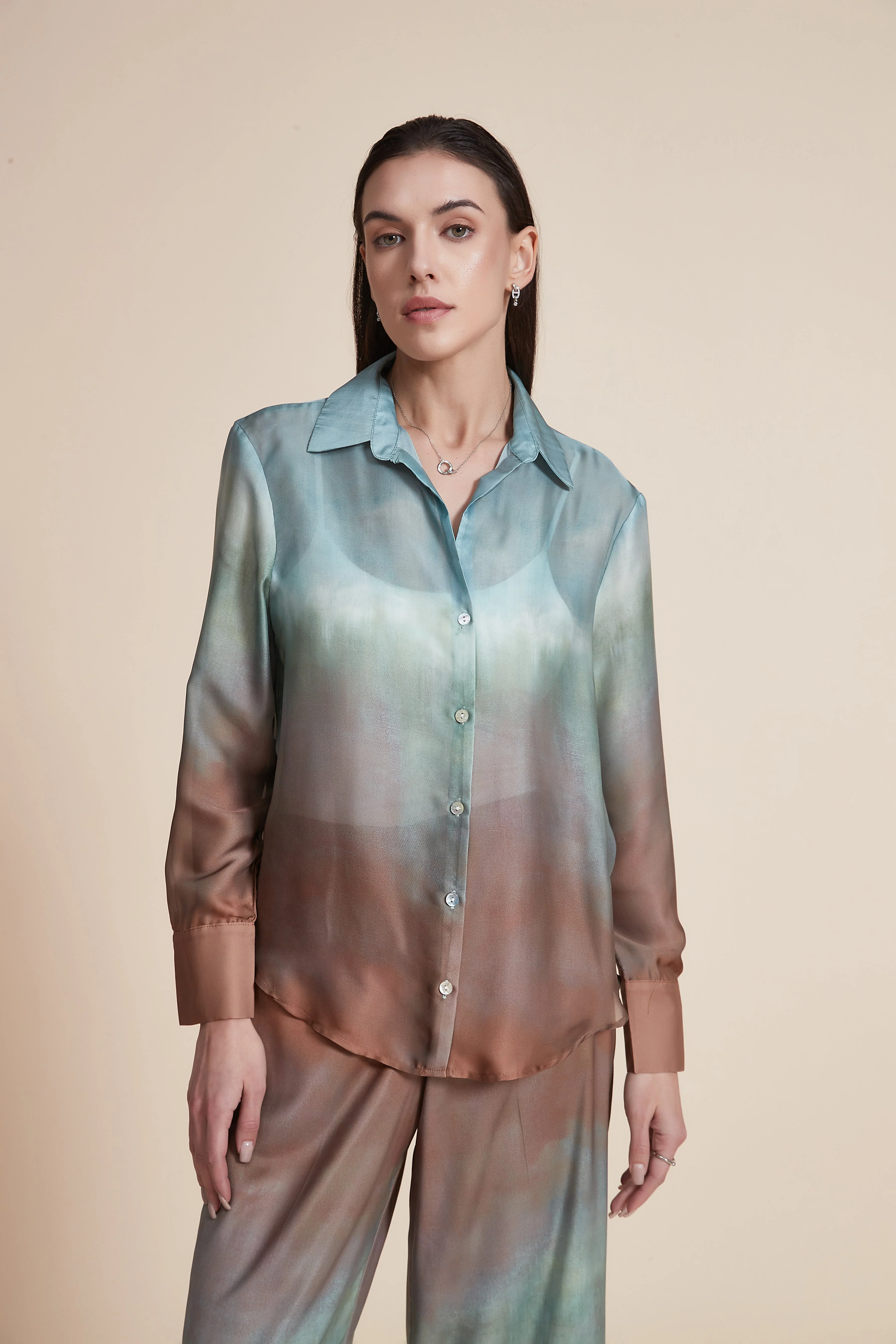Long Sleeve Sheer Shirt with Collar - Image 4